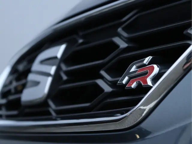 SEAT Leon 2.0 TSI FR Business Intense 2019 Benzine 10