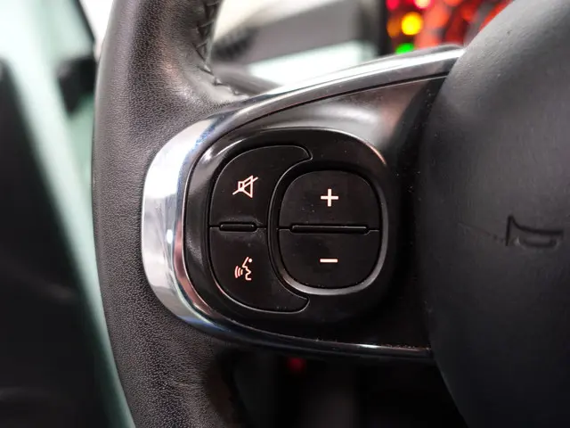 Fiat 500 1.2 Sportline- 2018 Benzine 13