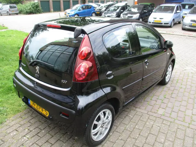 Peugeot 107 1.0 Active 2013 Benzine 5
