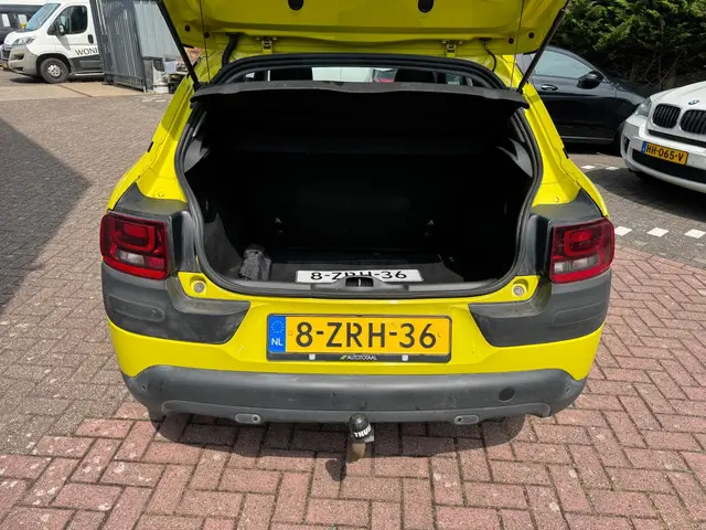 Citroën C4 Cactus 1.6 BlueHDi Business 2015 Diesel 10