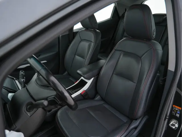 Opel Ampera-e Business Executive 60 kWh 2019 Elektrisch 19