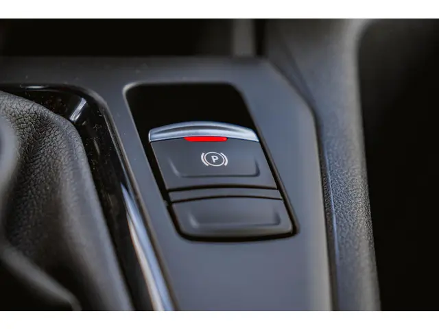 Renault Kangoo 1.5 Blue dCi 95 Comfort L2 2024 Diesel 19