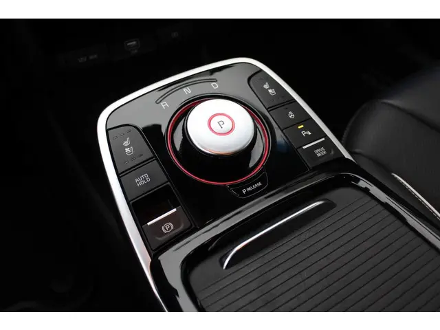 Kia e-Niro ExecutiveLine 64 kWh 2019 Elektrisch 24