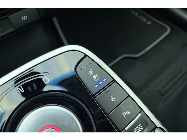 Kia e-Niro ExecutiveLine 64 kWh 2021 Elektrisch 24