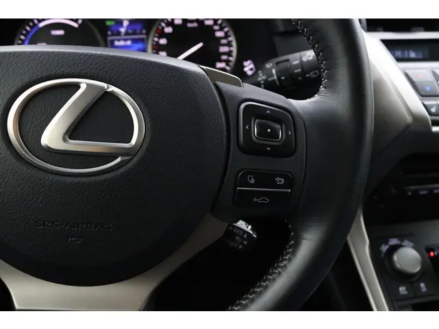 Lexus NX 300h AWD 25th Edition 2014 Hybride Benzine 20
