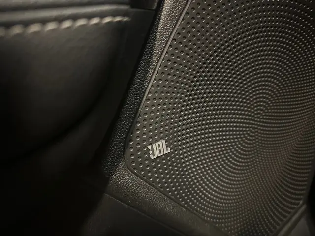 Kia e-Niro ExecutiveLine 64 kWh 2020 Elektrisch 25
