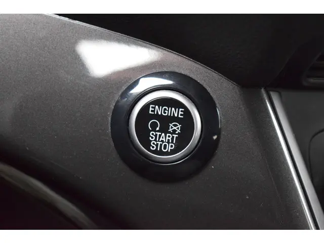 Ford C-MAX 1.5 Titanium 2019 Benzine 24