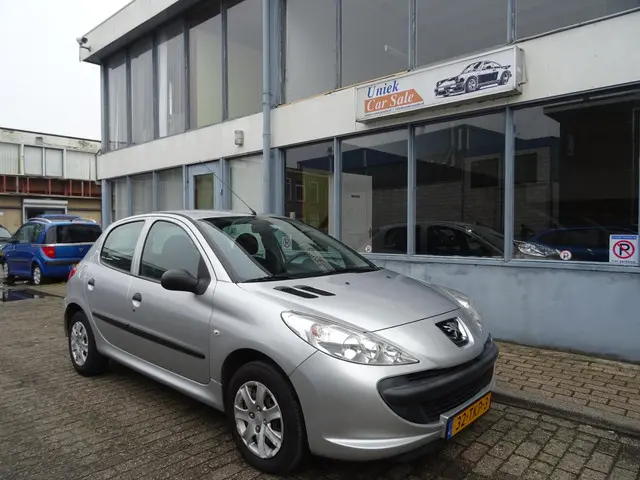 Peugeot 206 + 1.1 Access Lite 2012 Benzine 6