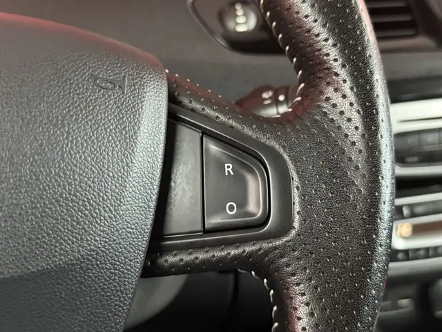 Renault Grand Scénic 1.5 dCi Bose 7p. 2014 Diesel 30