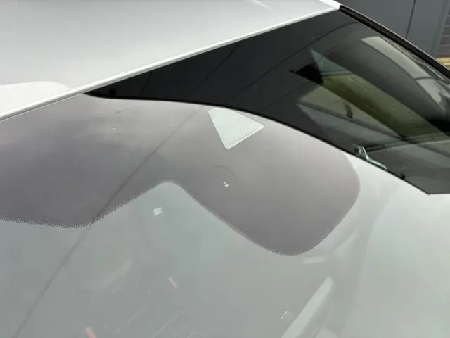 Ford Focus Wagon HELAAS VERKOCHT!!! 2019 Benzine 44