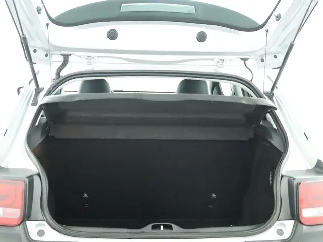 Citroën C4 Cactus 1.2 PureTech Business 2015 Benzine 22