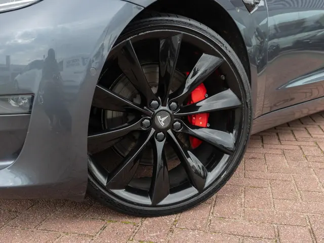 Tesla Model 3 Performance AWD 75 kWh 2019 Elektrisch 15