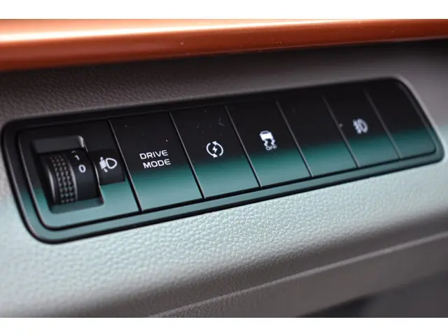 Farizon SV L2H3 83 kWh 2025 Elektrisch 14