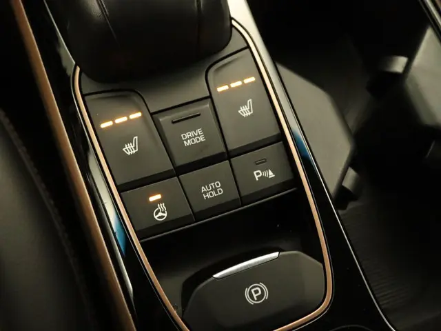 Hyundai IONIQ Premium EV 2018 Elektrisch 33