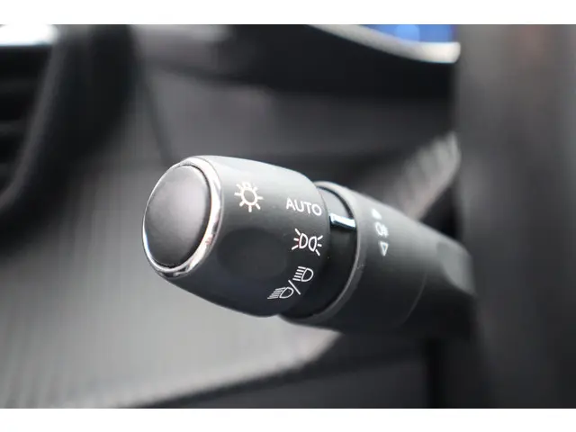 Peugeot 208 1.2 PURETECH ALLURE-PACK SKY 2020 Benzine 31