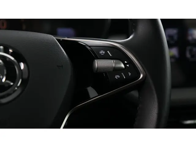 Škoda Fabia 1.0 TSI 115pk Selection DSG 2024 Benzine 24