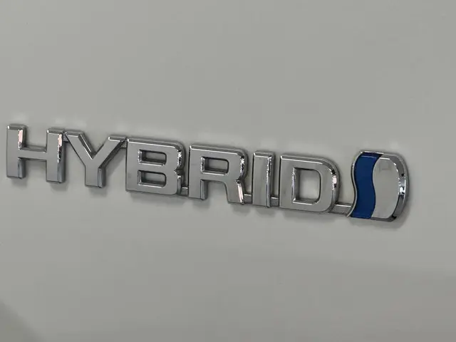 Toyota RAV4 2.5 Hybrid Bi-Tone 2019 Hybride Benzine 17