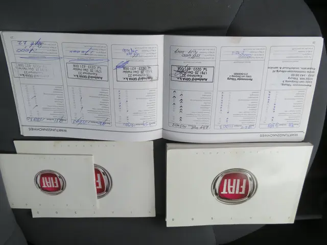 Fiat 500 1.2 Naked 2008 Benzine 22