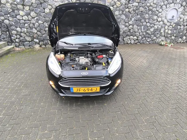 Ford Fiesta 1.0 EcoBoost Titanium 2016 Benzine 19