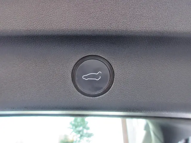 Tesla Model Y Long Range AWD 75 kWh 2022 Elektrisch 25