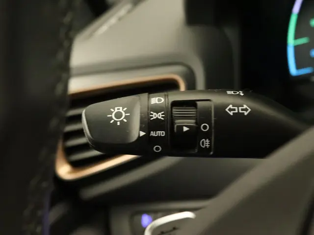 Hyundai IONIQ Comfort EV 2019 Elektrisch 23