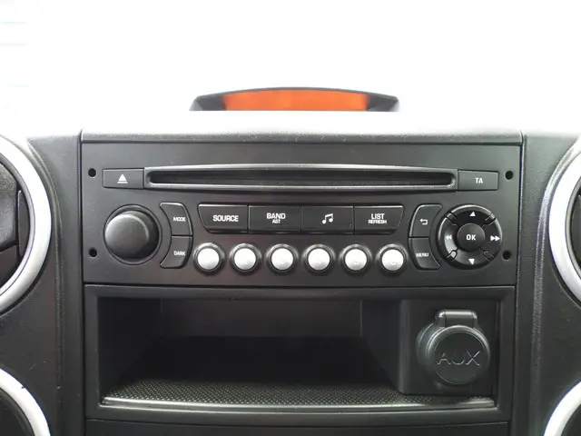 Citroën Berlingo 1.6 BlueHDi 4x4 Dangel 2016 Diesel 8