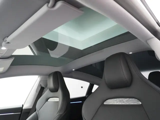 Tesla Model 3 Performance AWD 78 kWh 2025 Elektrisch