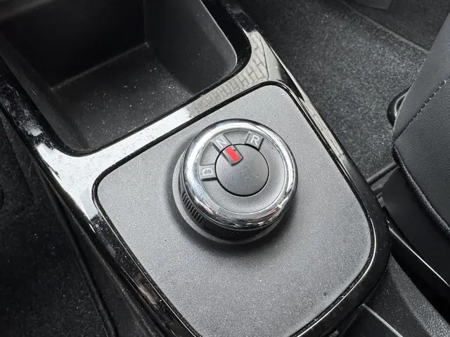 Dacia Spring Comfort Plus 27 kWh 2023 Elektrisch 25