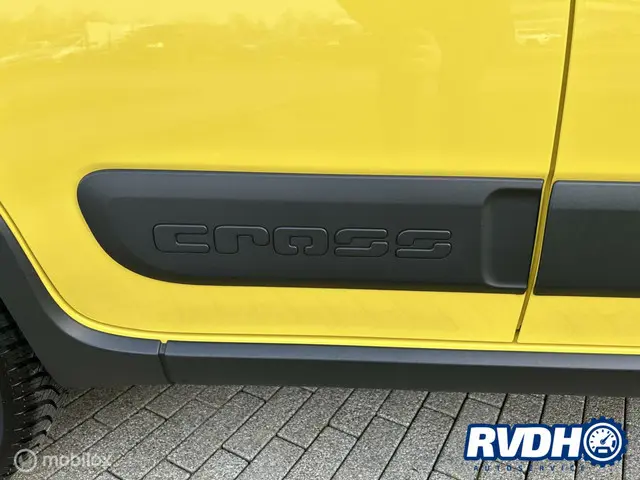 Fiat Panda 1.0 Hybrid City Cross 2020 Benzine 20