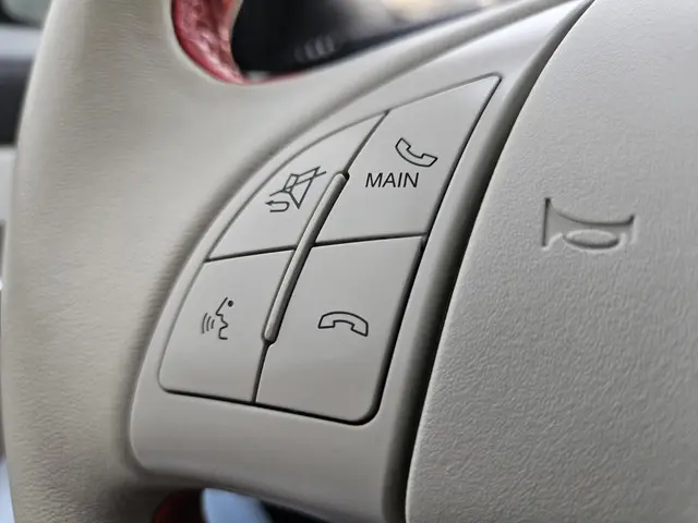 Fiat 500e 24kwh LEER CC PDC AUTOMAAT 2014 Elektrisch 19