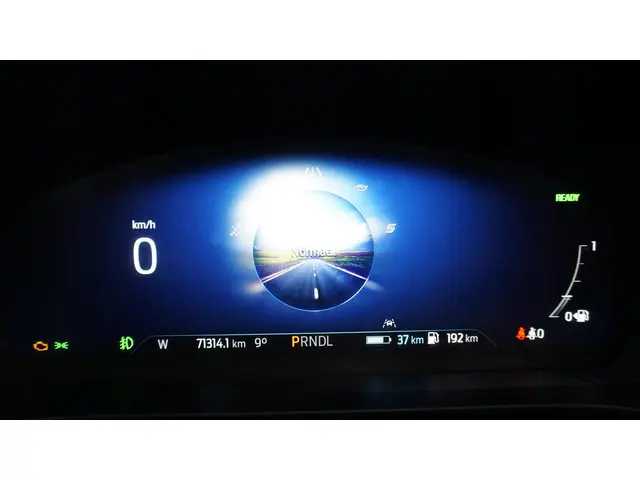 Ford Kuga 2.5 225pk PHEV ST-Line X 2021 Hybride Benzine 19