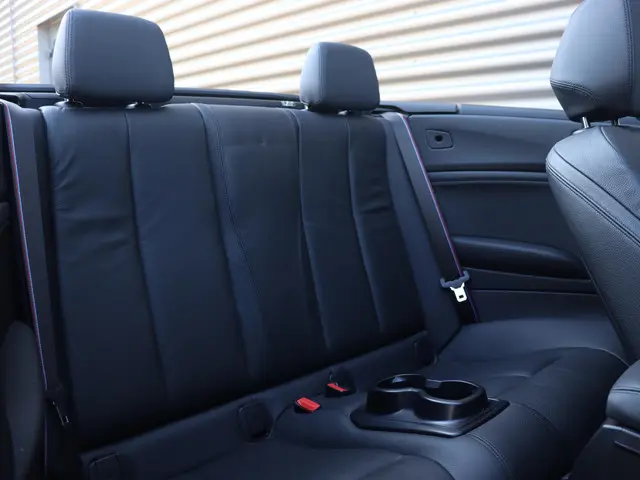 BMW 2 Serie Cabrio 220i 2019 Benzine 12