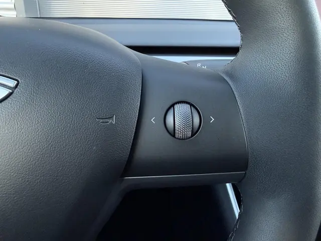 Tesla Model 3 Long Range AWD 75 kWh 2019 Elektrisch 13