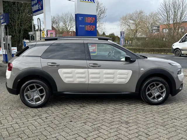 Citroën C4 Cactus 1.2 PureTech Business Plus 2015 Benzine 8