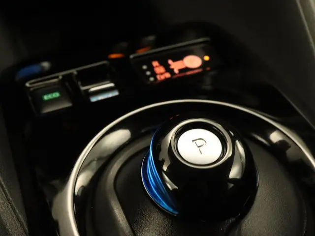 Nissan Leaf Tekna 40 kWh 2018 Elektrisch 28