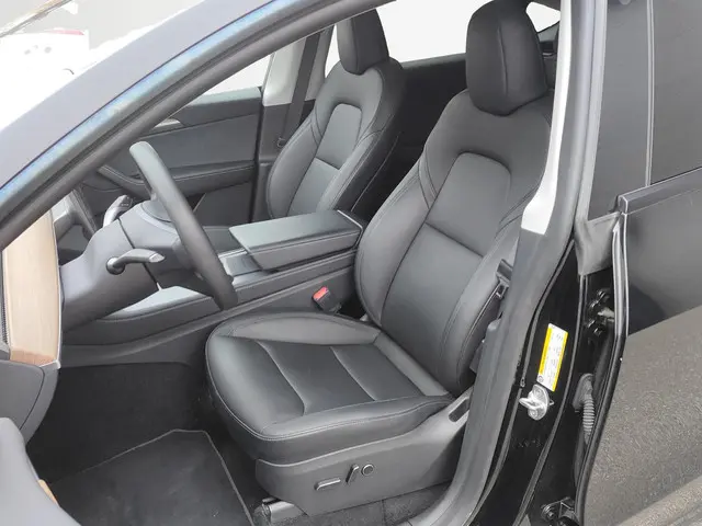 Tesla Model Y Long Range AWD 75 kWh 2023 Elektrisch 11