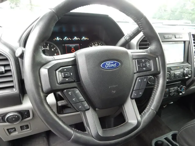 Ford F-150 5.0Ltr V8 4X4 6 pers. Crew cab 2019 LPG/Gas 15