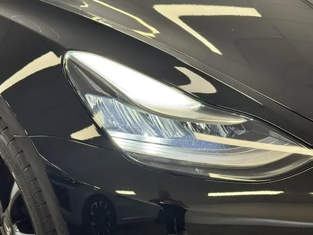 Tesla Model 3 Performance AWD 75 kWh 2019 Elektrisch 27