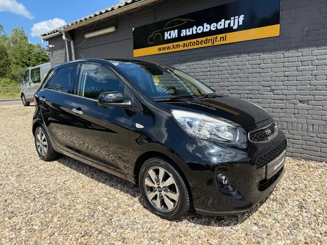 Kia Picanto 1.0 CVVT First Edition 2015 Benzine 31