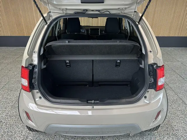 Suzuki Ignis 1.2 Smart Hybrid Select 2022 Benzine 13