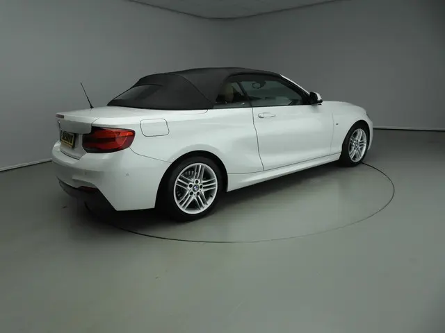 BMW 2 Serie Cabrio 220i 2018 Benzine 22