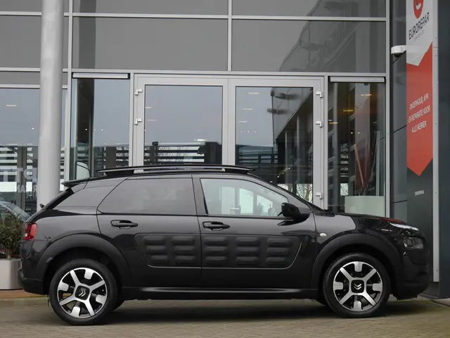 Citroën C4 Cactus 1.2 PureTech Business 2016 Benzine 6