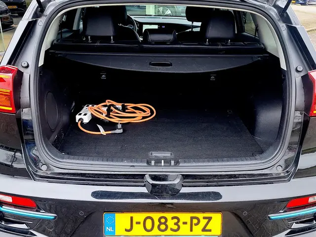 Kia e-Niro ExecutiveLine 64 kWh 2020 Elektrisch 6