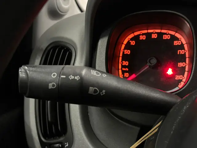 Fiat Panda 1.2 Edizione Cool - Airco - NAP 2014 Benzine 20