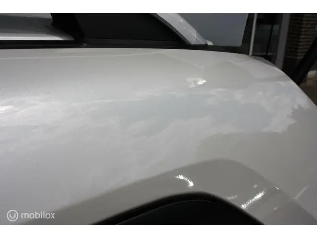 Suzuki Ignis 1.2 Stijl half leder, 12.000km 2019 Benzine 22