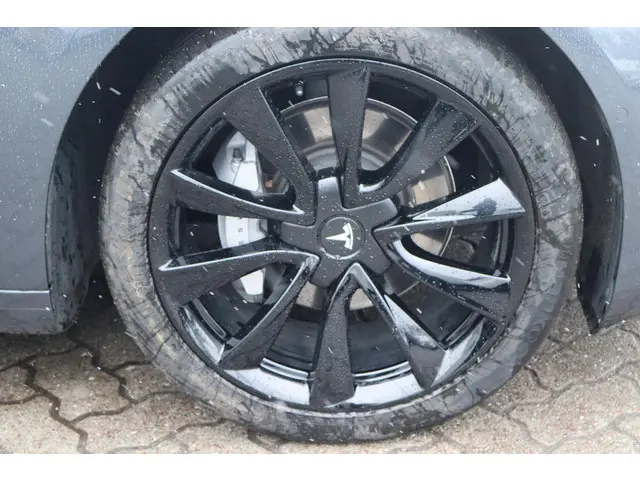 Tesla Model 3 Long Range AWD 75 kWh 2019 Elektrisch 15