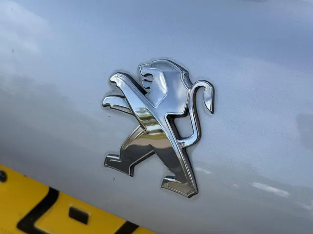 Peugeot 208 1.2 PureTech Style 2015 Benzine 29