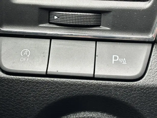 Škoda Fabia Combi 1.0 TSI Business Edition 2021 Benzine 15