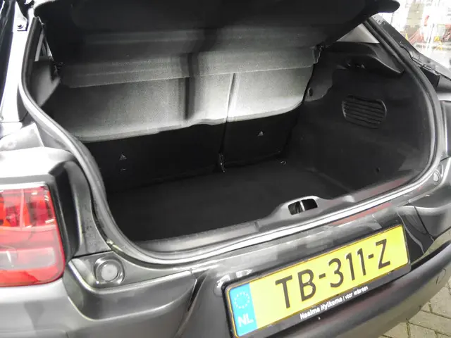 Citroën C4 Cactus 1.2 PureTech Business 2016 Benzine 12