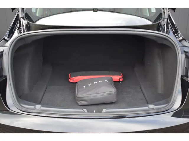 Tesla Model 3 Standard RWD Plus 60kWh 2020 Elektrisch 21